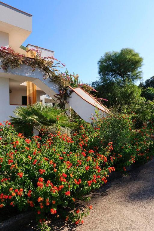 Hotel Villaggio Costa Ripa Rodi Garganico Exteriér fotografie
